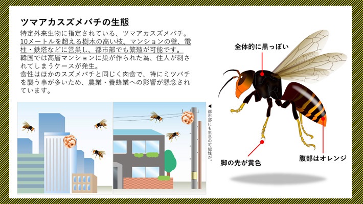 養蜂冷却ファン付 蜂防護服【ホーネット1】 スズメバチ駆除 キイロスズメバチ 養蜂